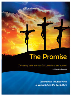 cover image of The Promise